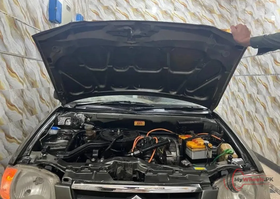 2009 Suzuki Alto main vehicle photo